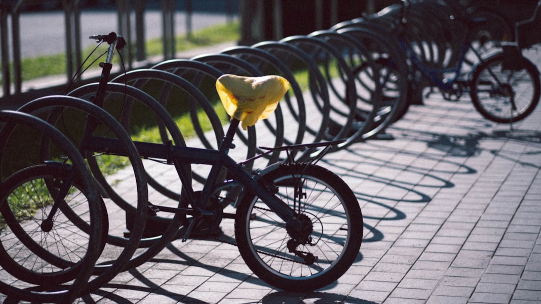 yellow bird on black bicycle