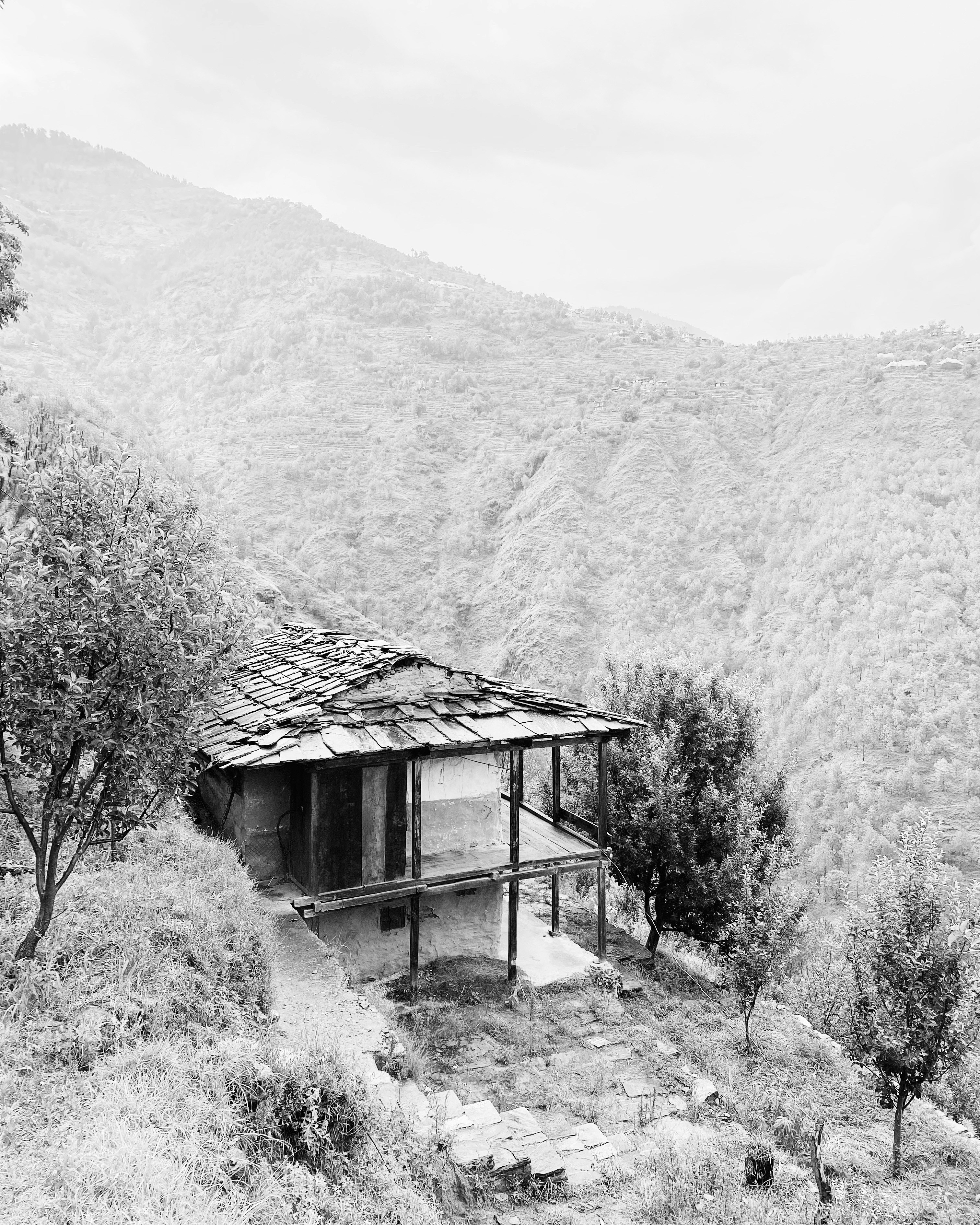 grayscale photo of house near trees and mountain