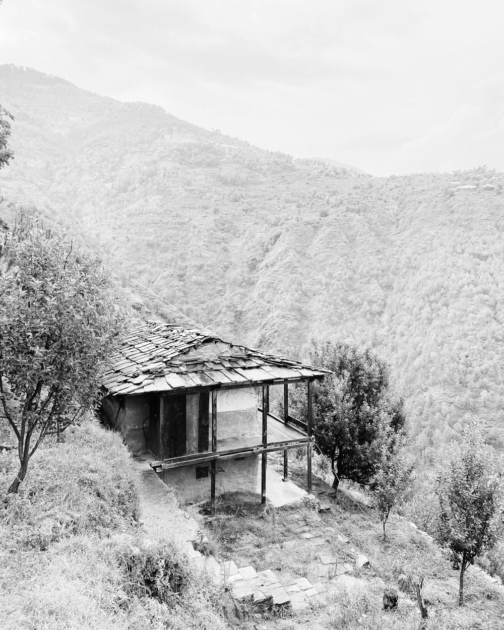 grayscale photo of house near trees and mountain