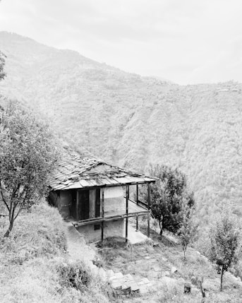 grayscale photo of house near trees and mountain
