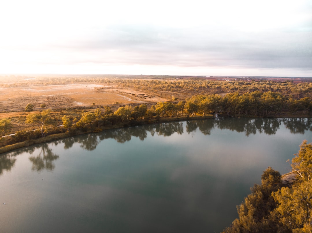 brown and green trees beside river under white sky during daytime