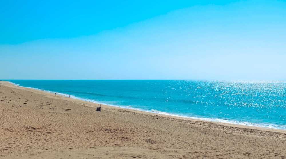 people walking on beach during daytime