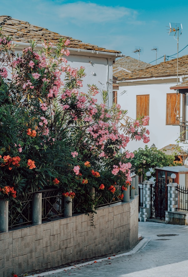 Thassos Weather Guide: Best Months to Visit