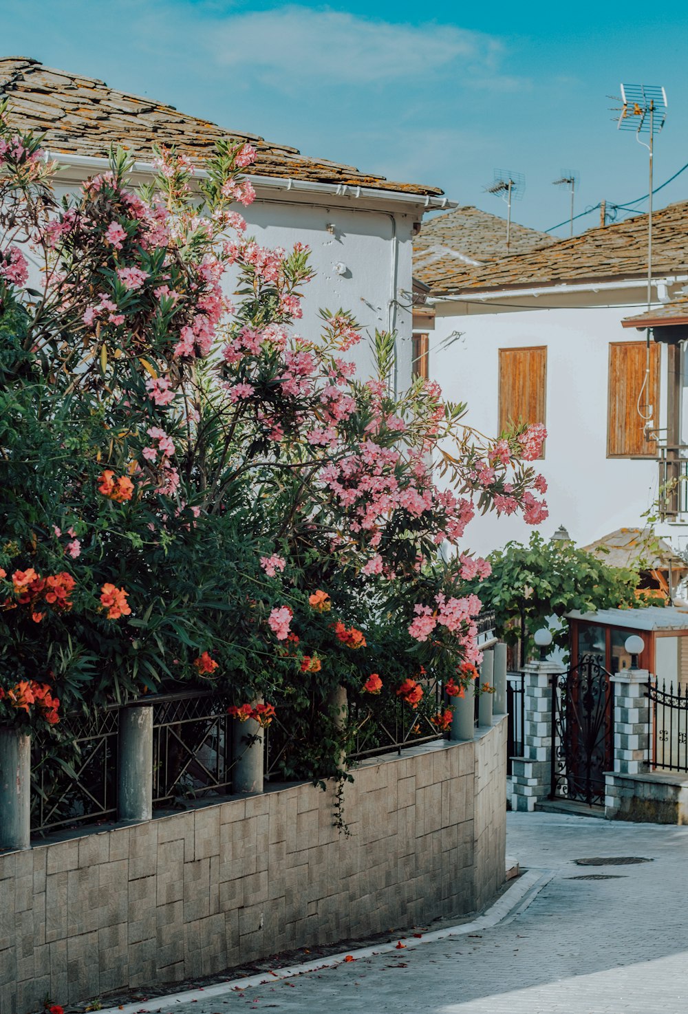 Een straat met betonnen huizen en muren met roze en roze bloemen