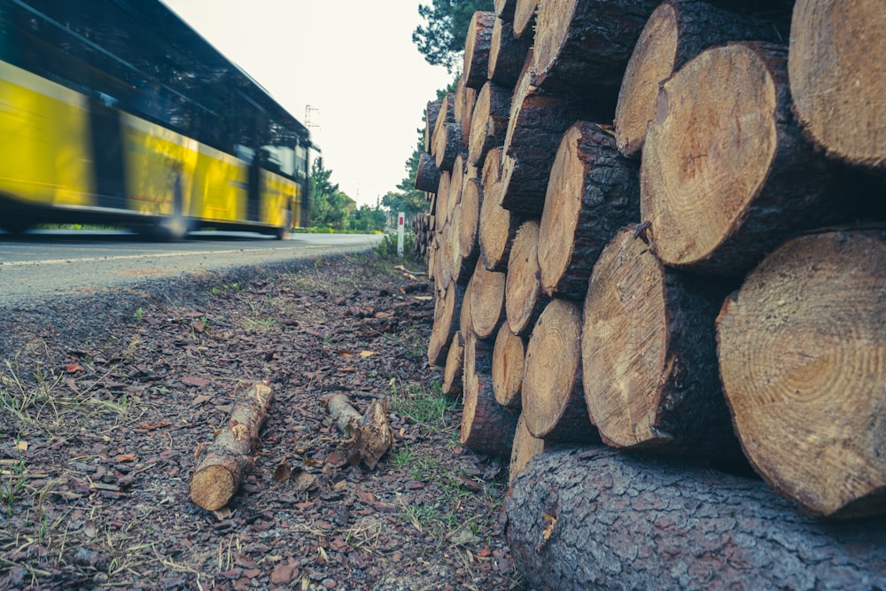 pile of brown wood logs