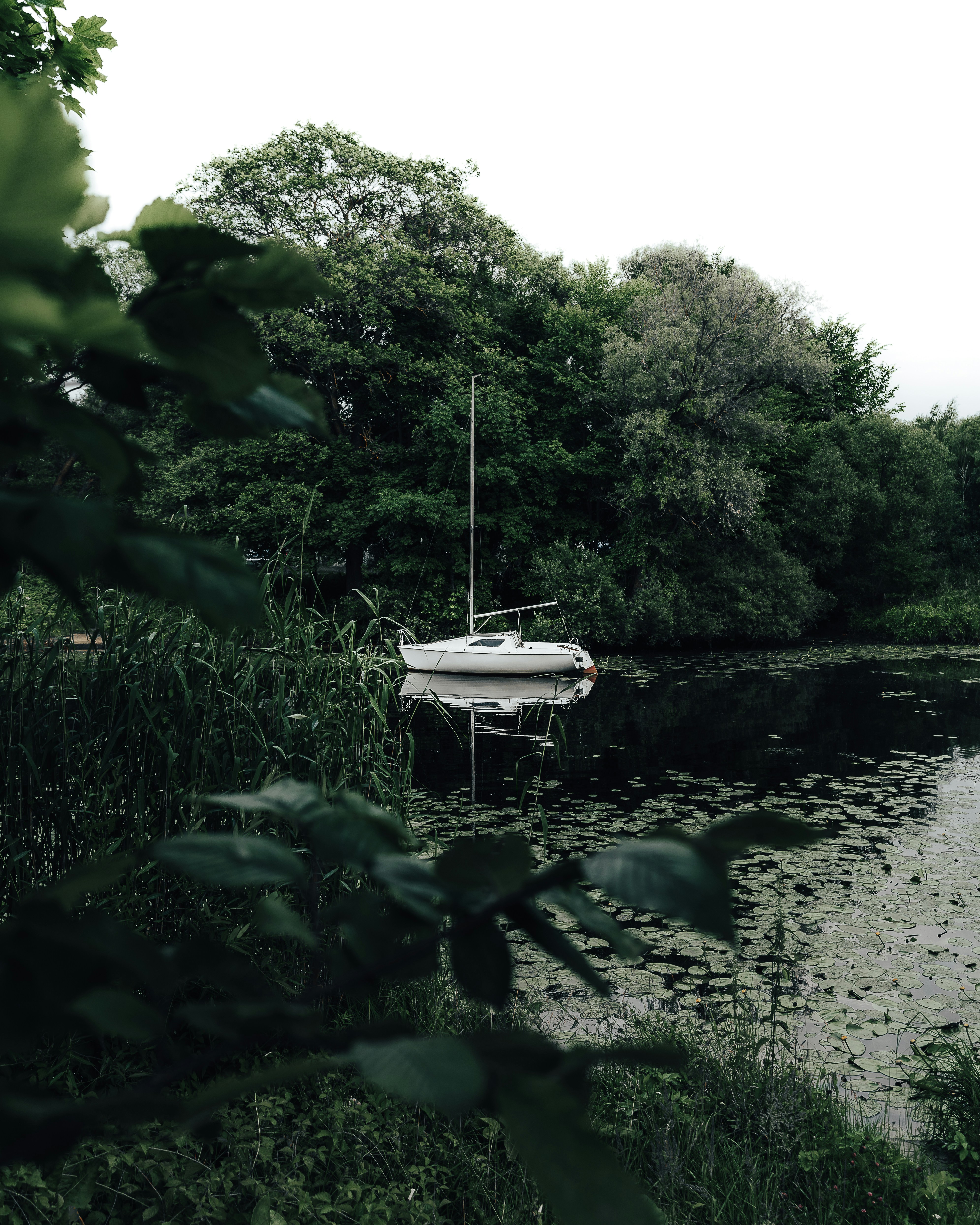 Photo by skvaad