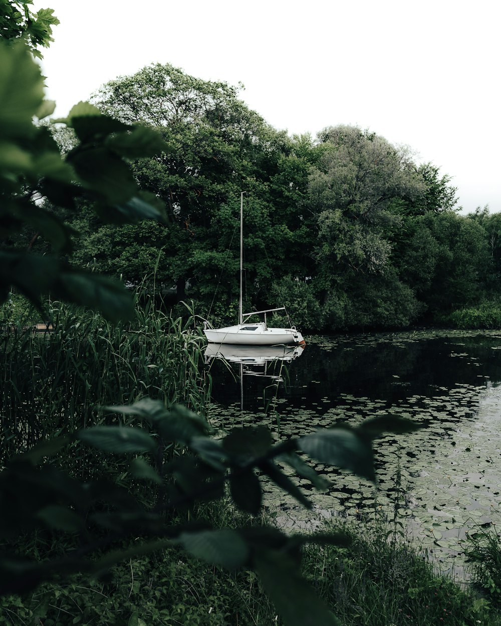 white boat on river during daytime