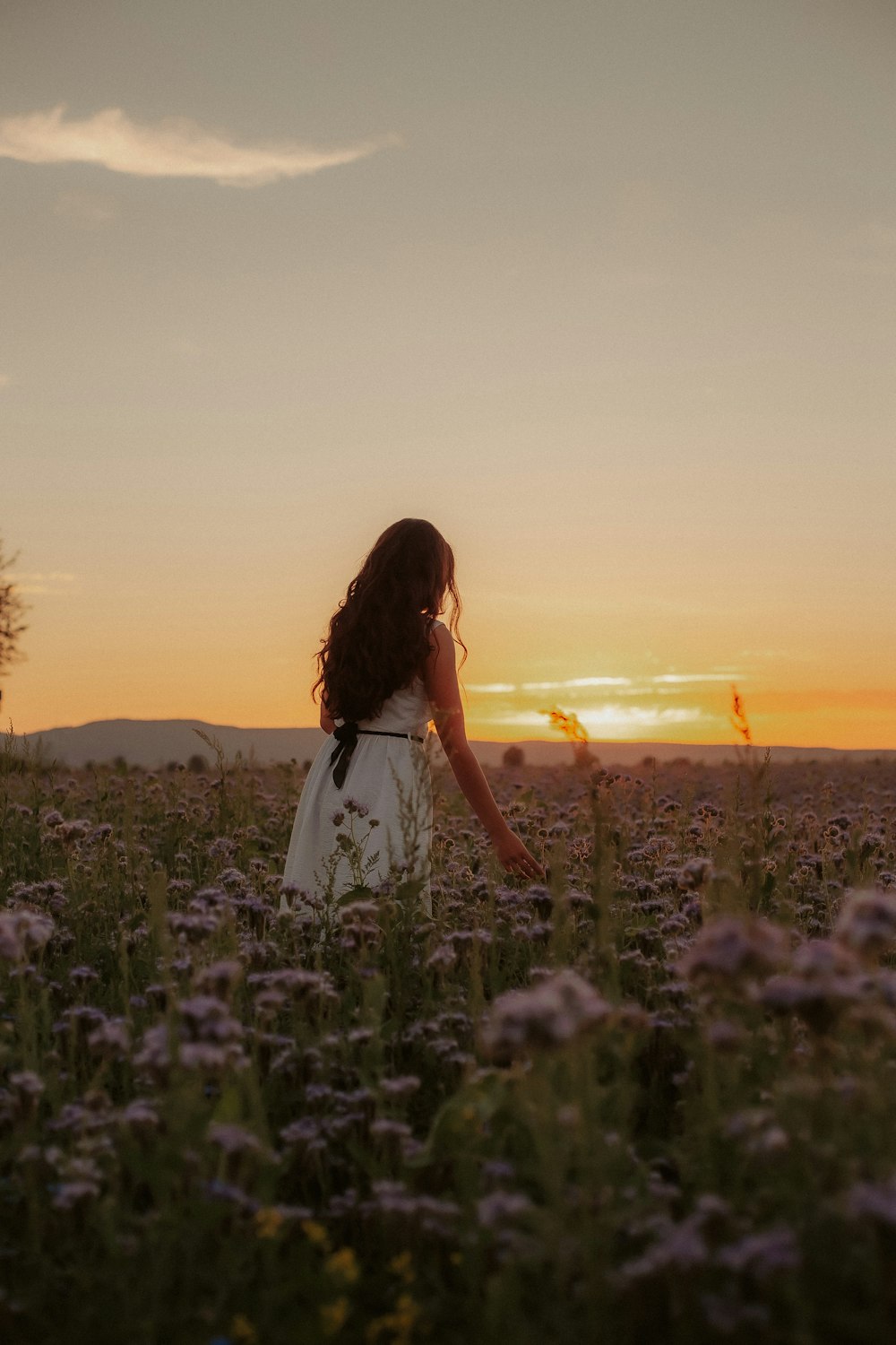 donna in abito bianco in piedi sul campo di fiori durante il tramonto