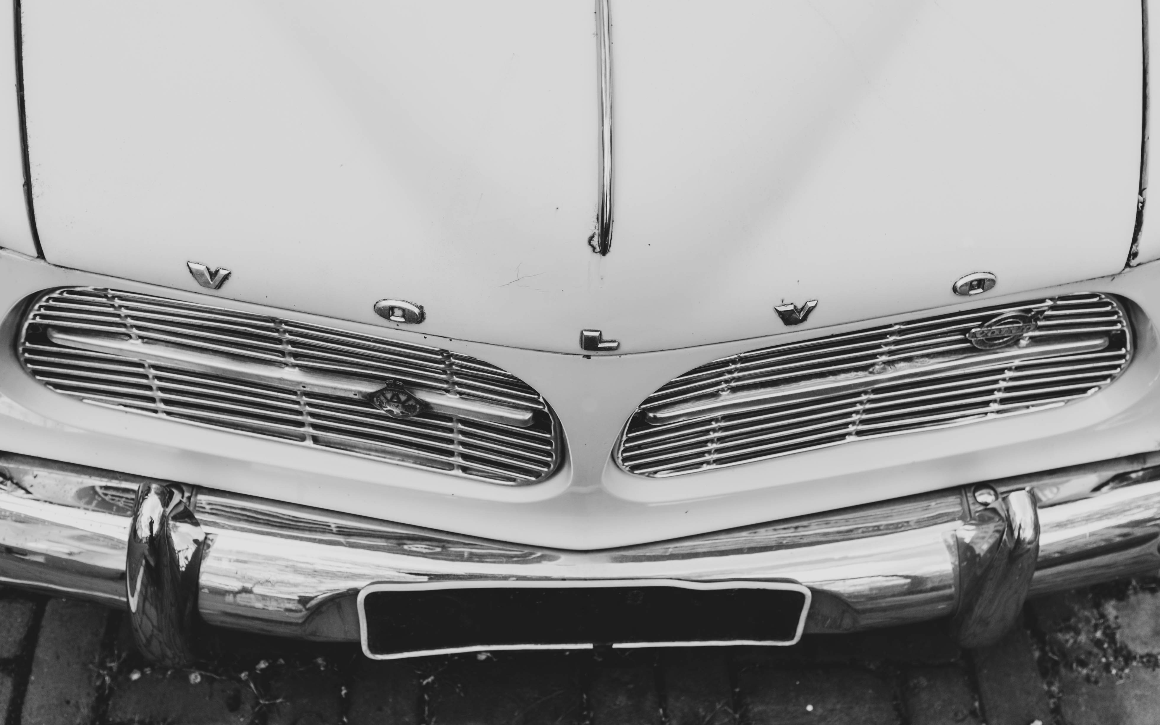 Photo by moisamihai092