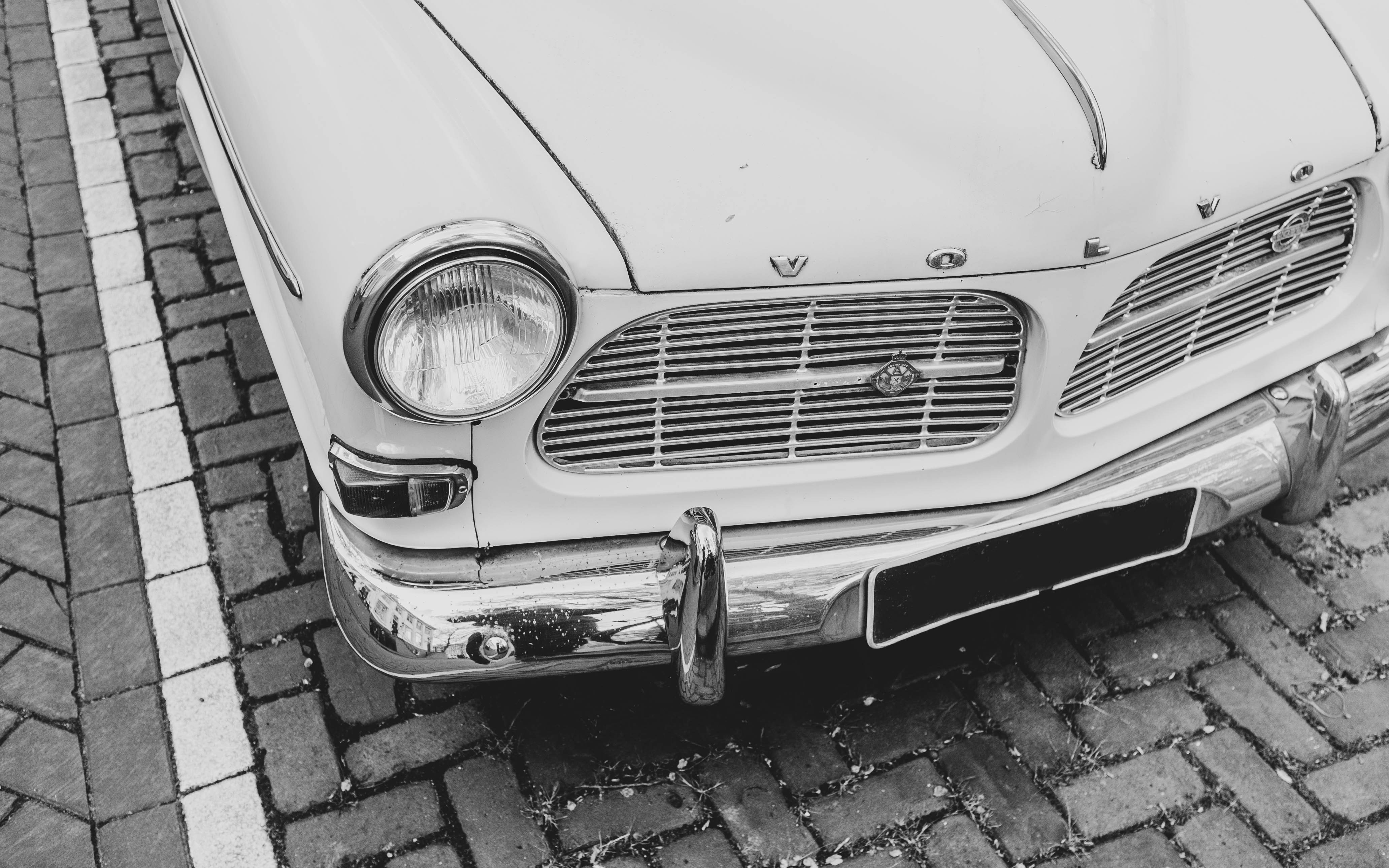 Photo by moisamihai092