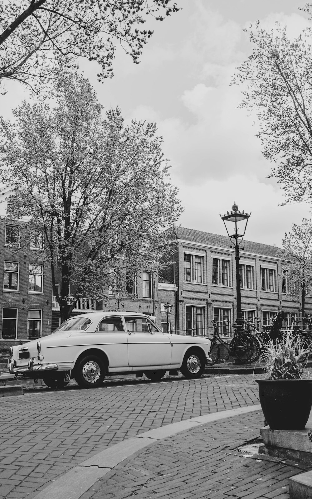 grayscale photo of car parked near tree