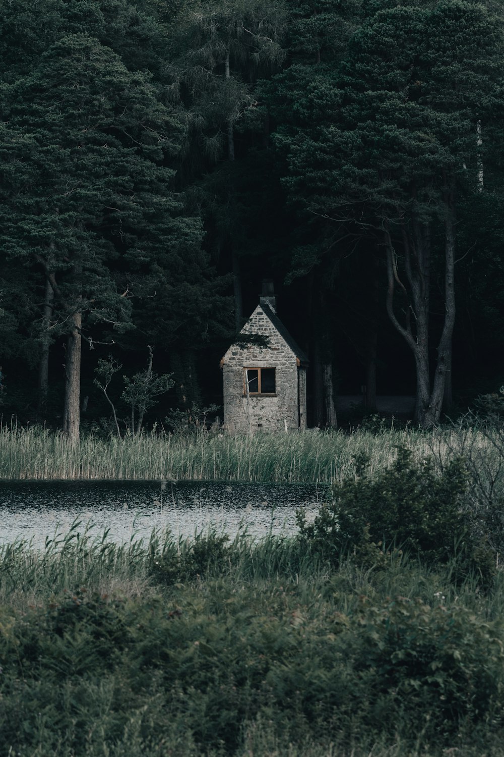 brown wooden house in the middle of green grass field