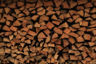 brown and black firewood lot