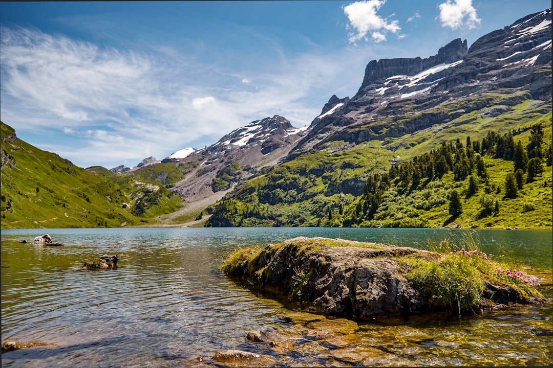 green and brown mountains beside body of water under blue sky during daytime