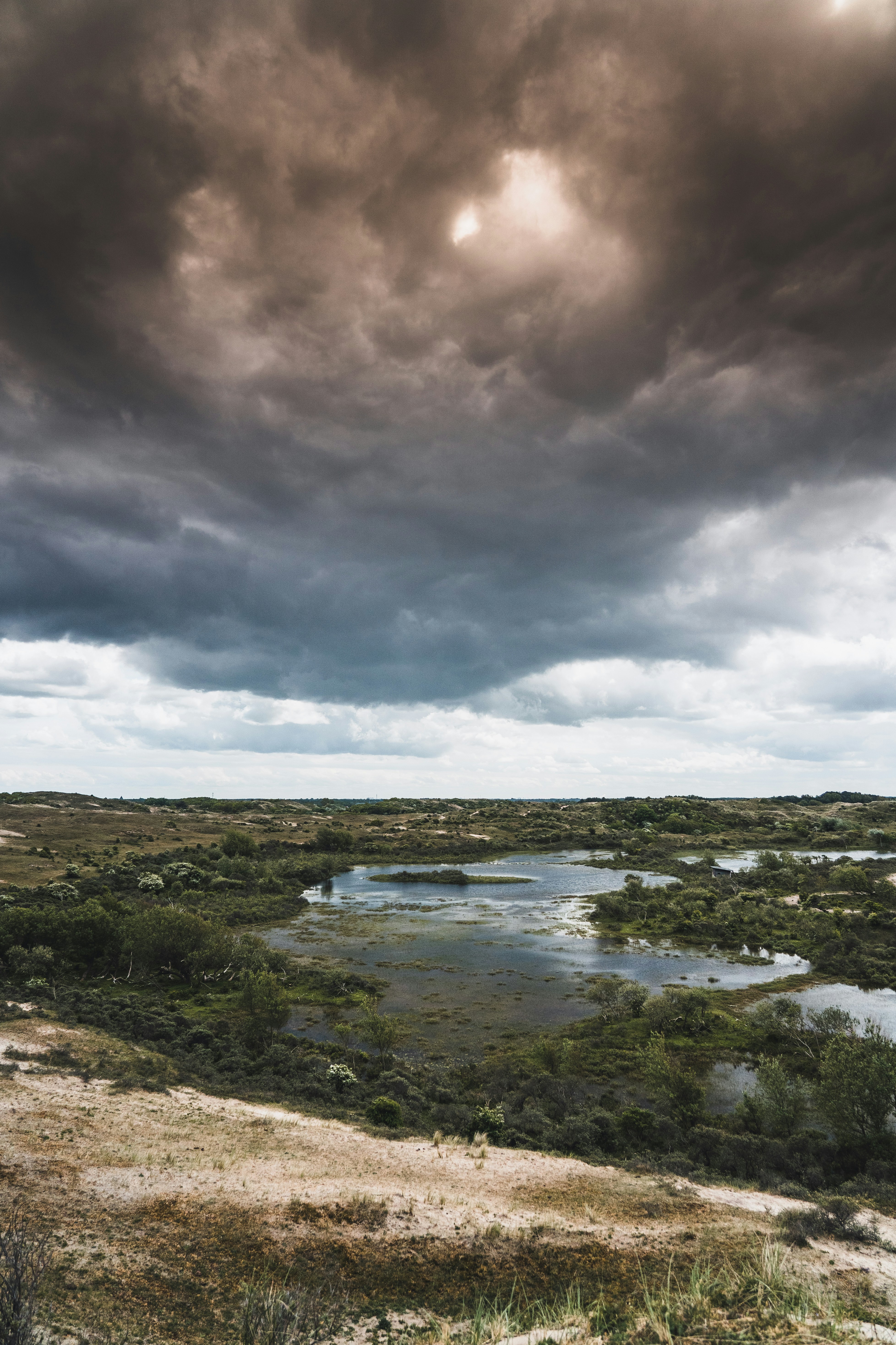 Photo by mitchelanneveldt