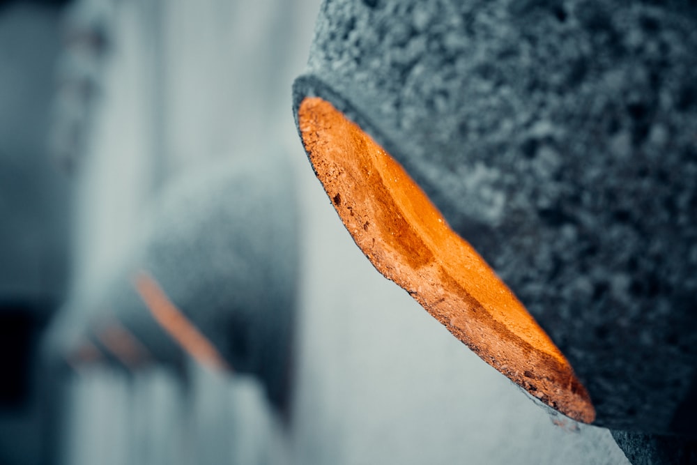 brown leaf on gray concrete surface