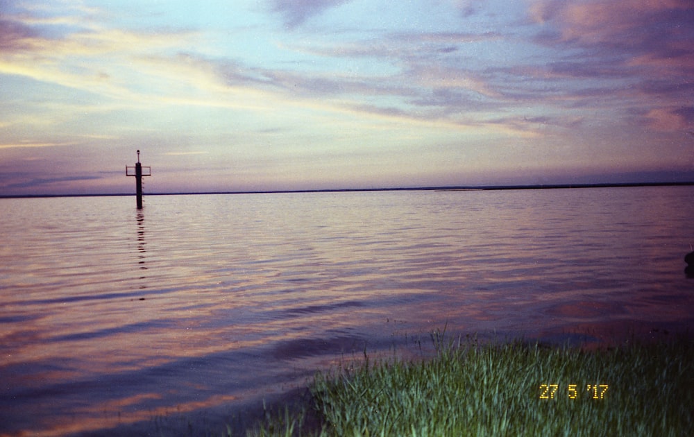 green grass near body of water during daytime