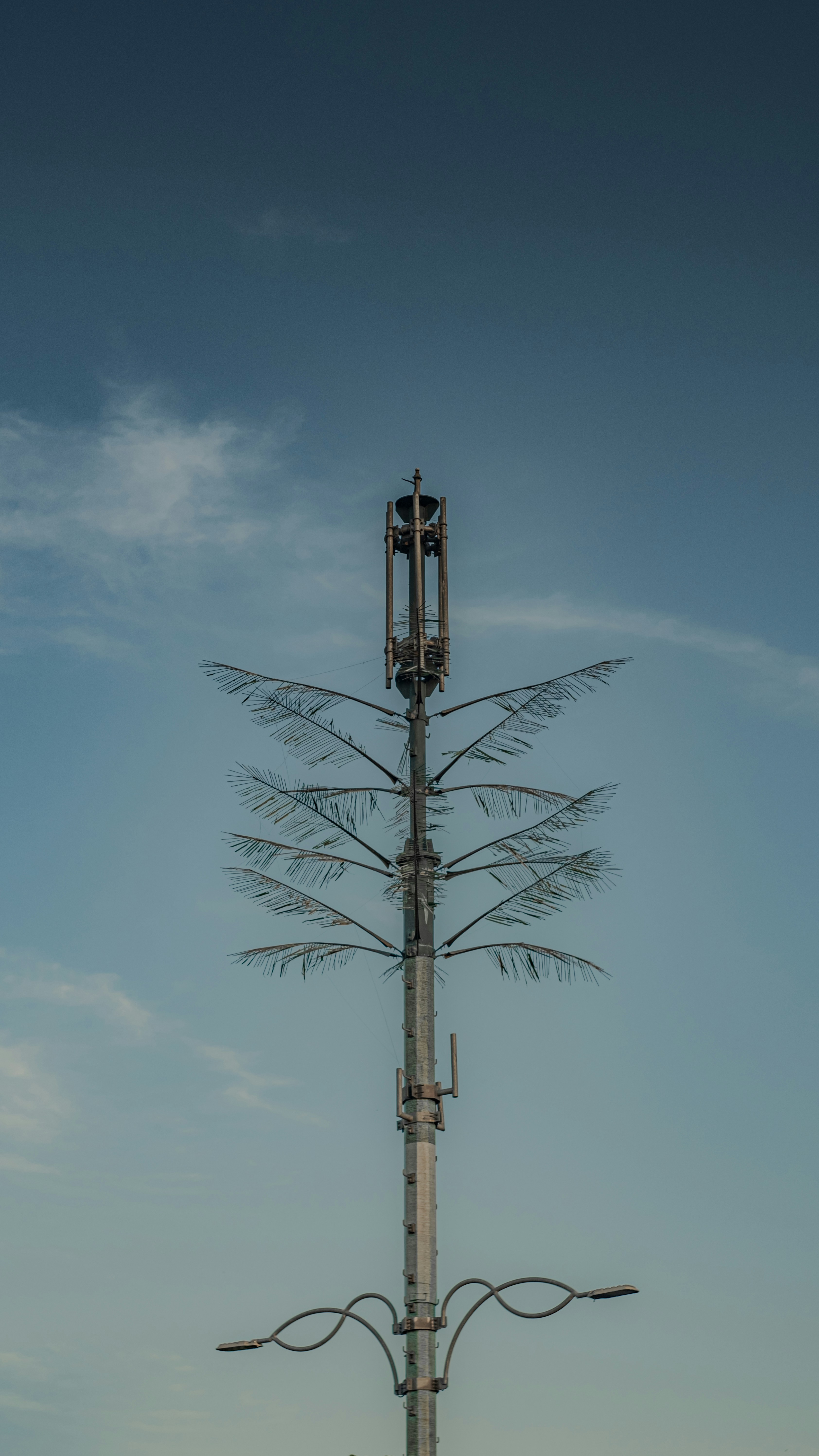 Photo by aryakrisdyantara