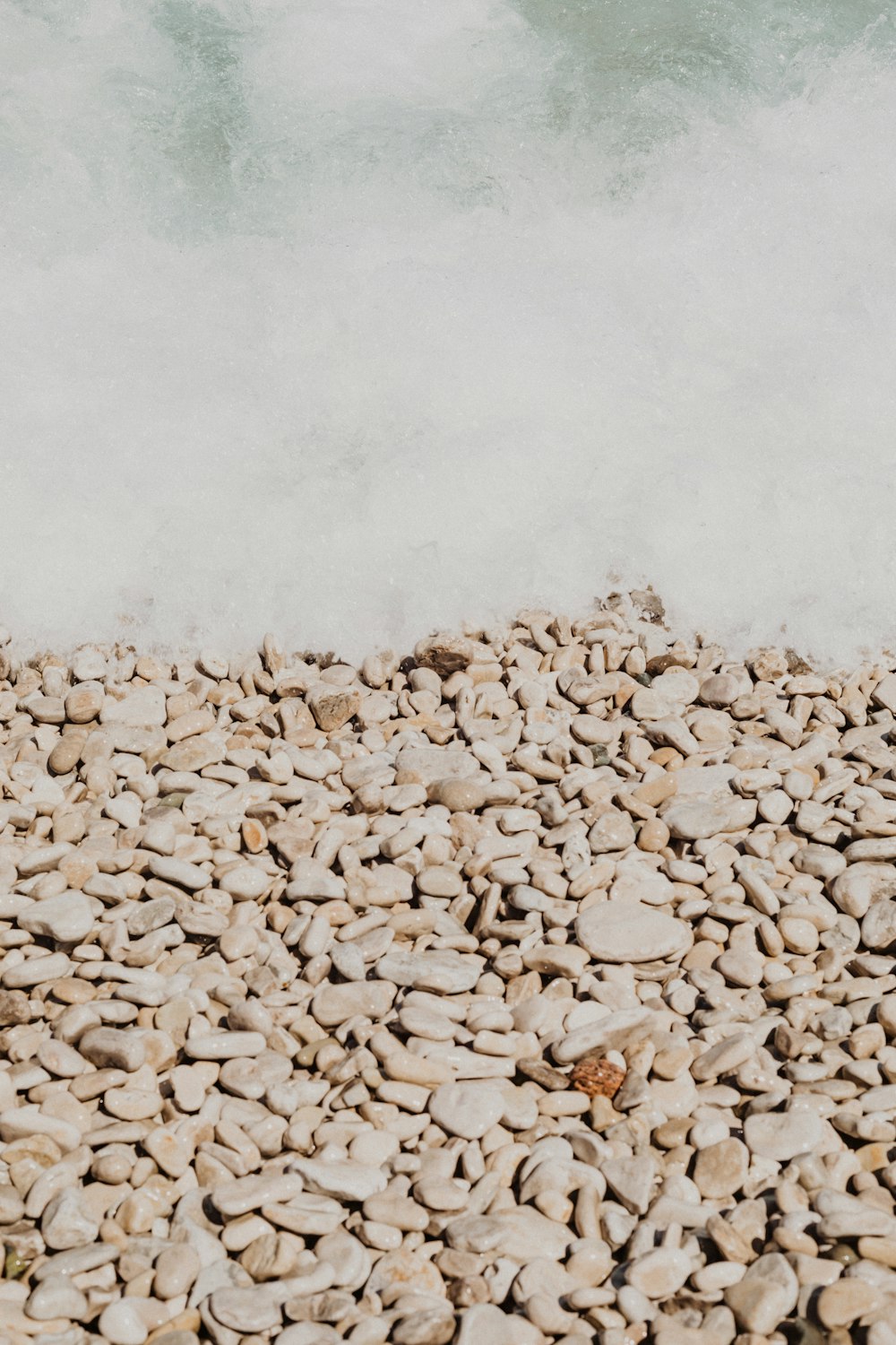 white and brown rocks on white sand