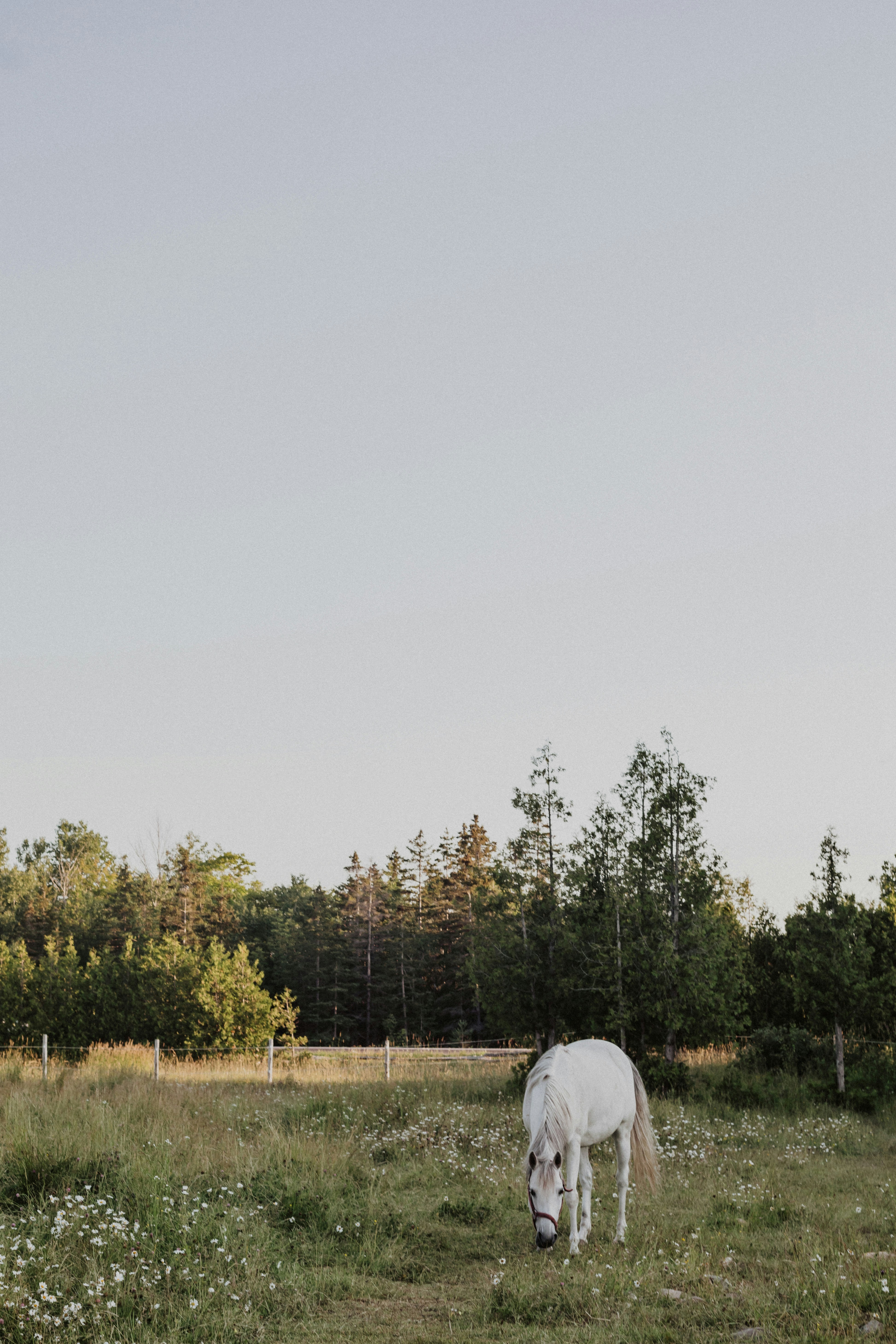 Photo by sjanesphotos