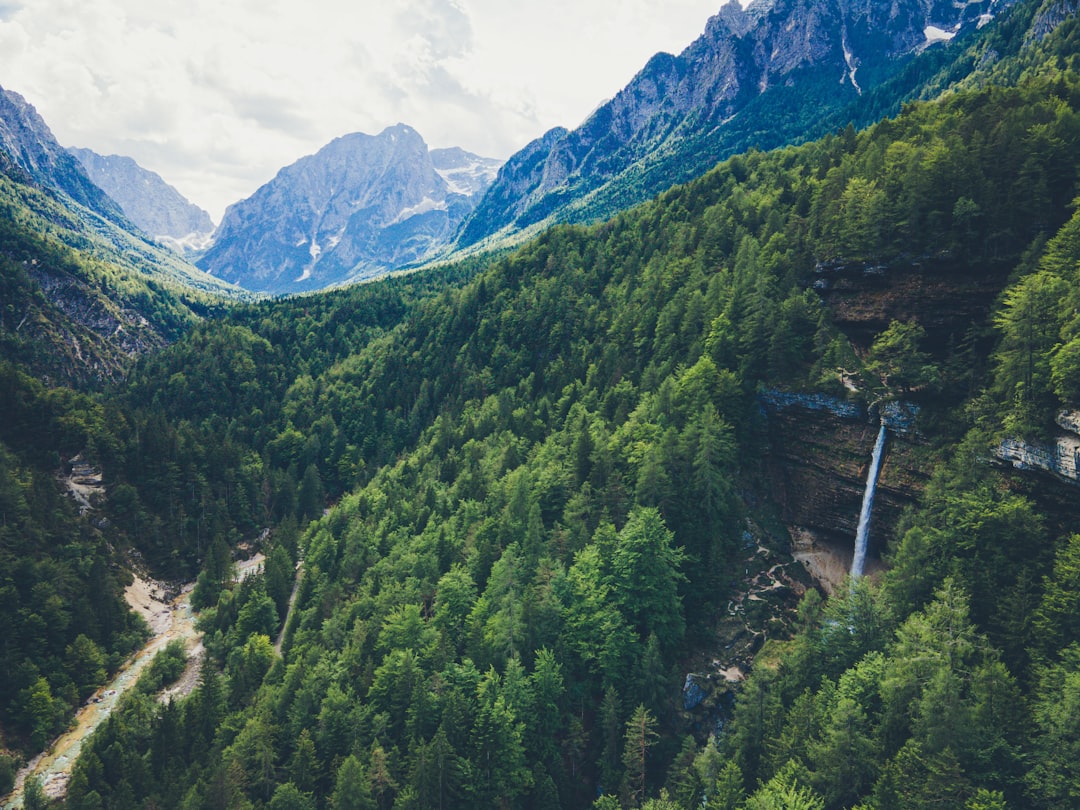 green trees on mountain under white clouds during daytime