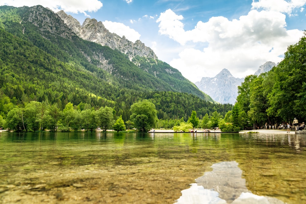 green trees near lake and mountain under blue sky during daytime