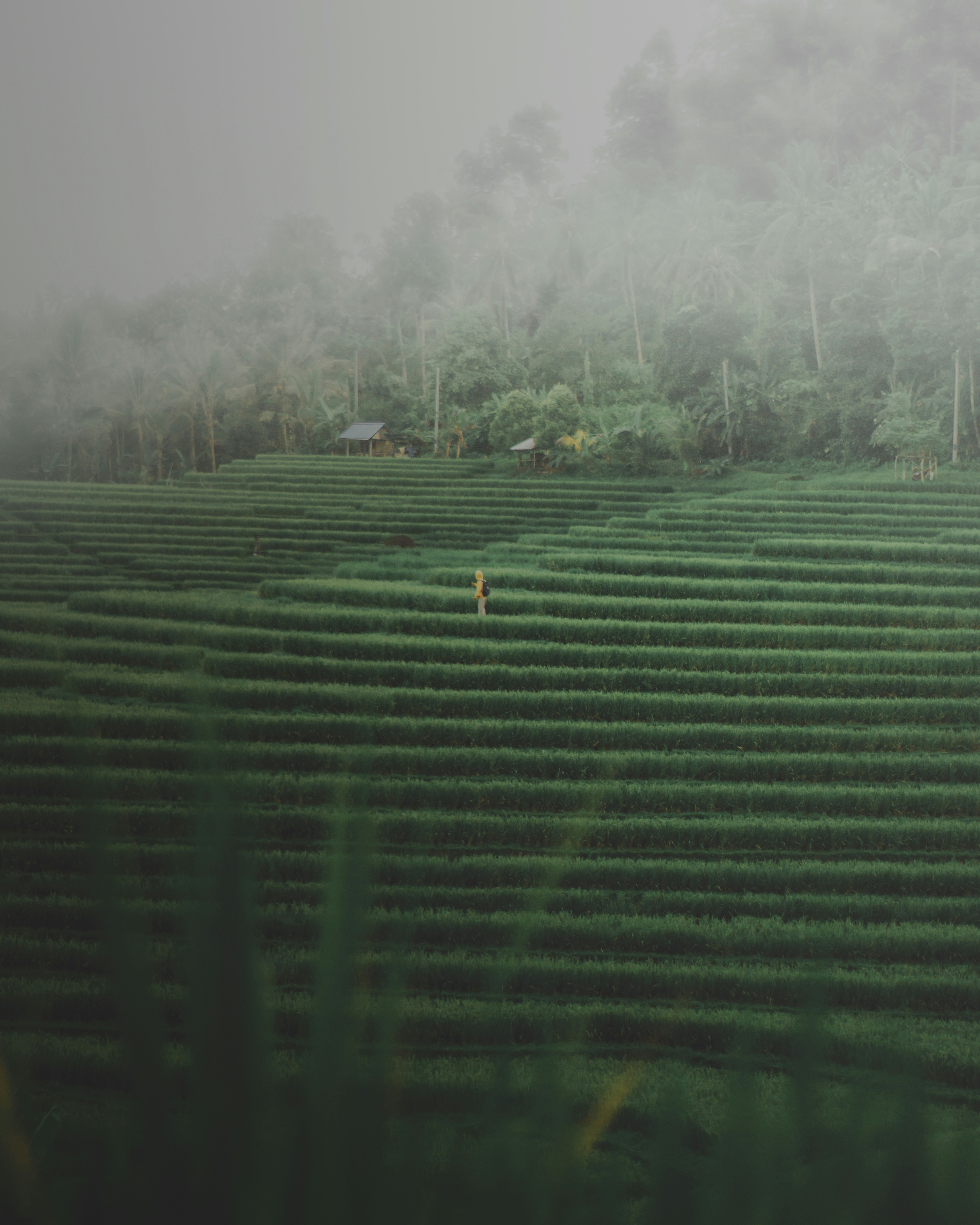 Photo by aryakrisdyantara