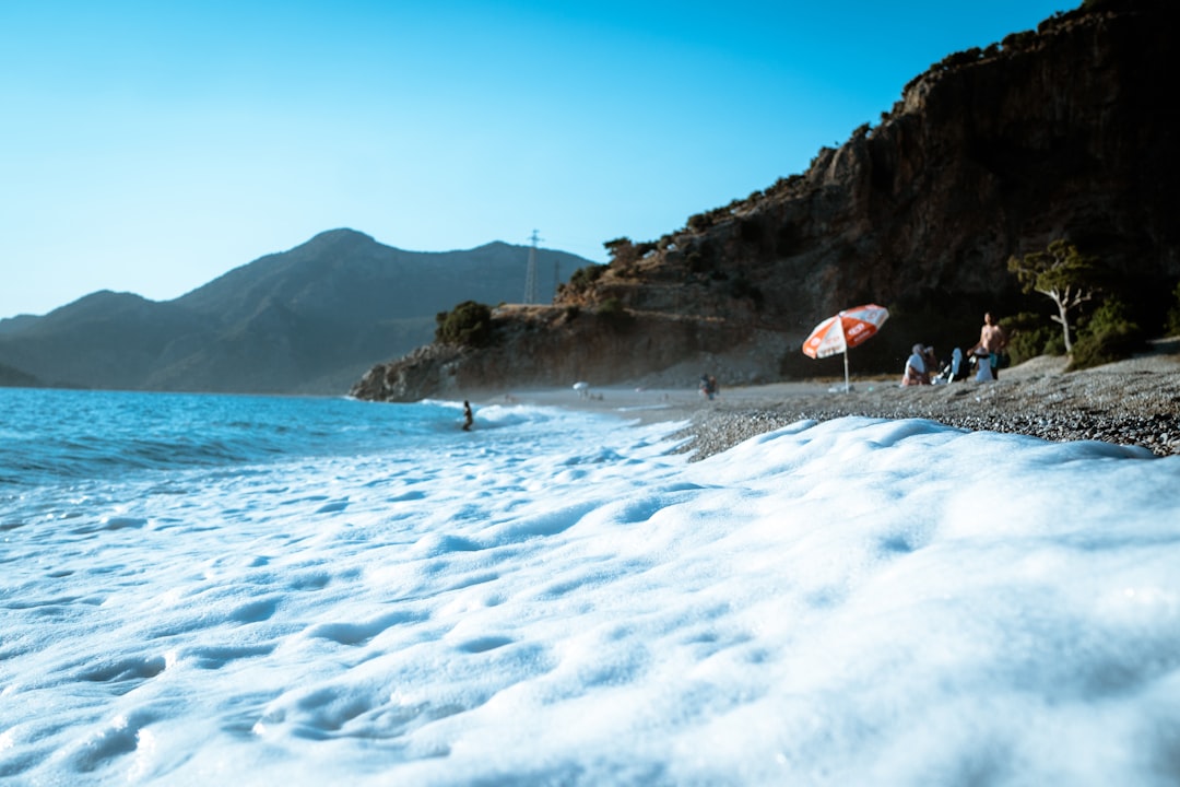 people on beach during daytime