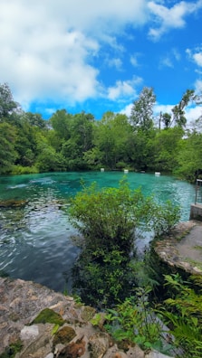 A serene natural pool surrounded by lush green foliage under a golden sunset