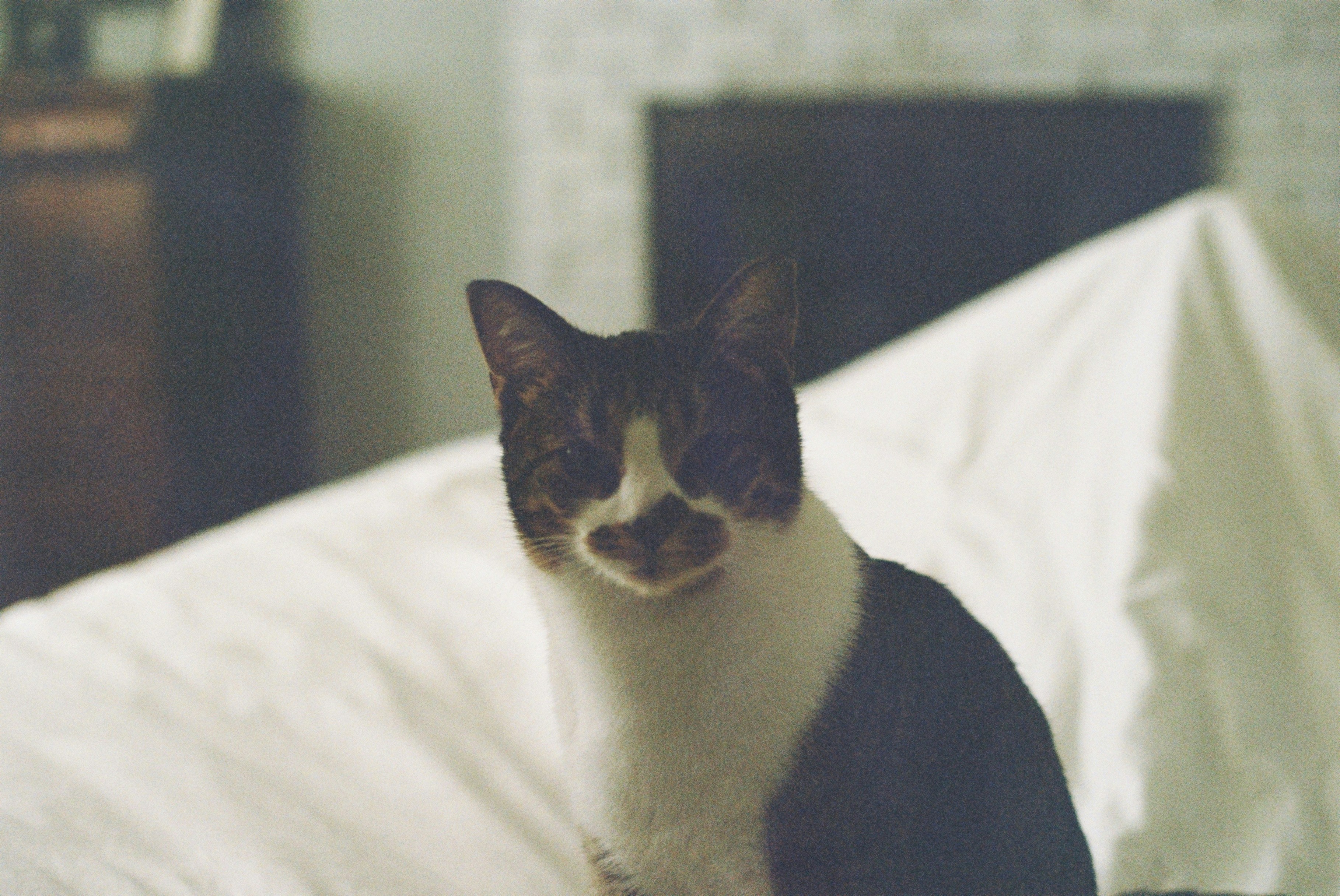 Photo by anderson_rhom