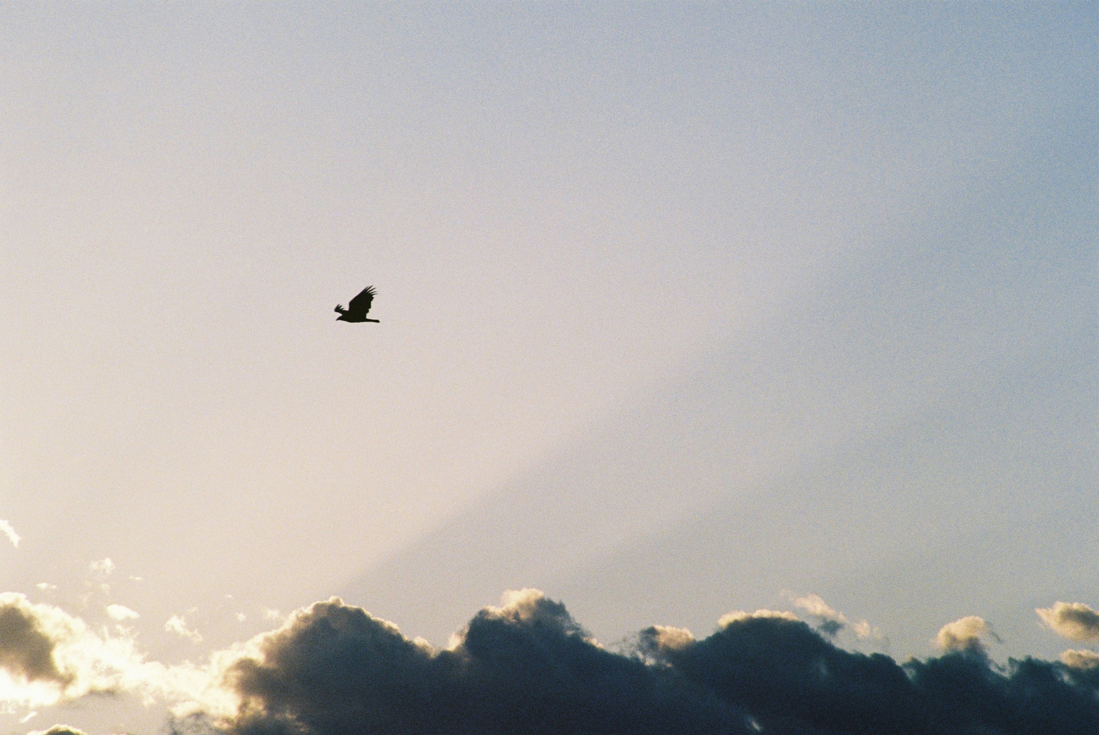 Photo by anderson_rhom