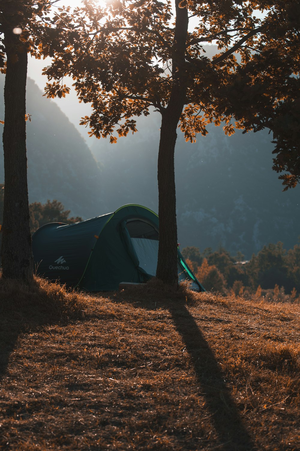 green tent on brown grass field near green trees during daytime