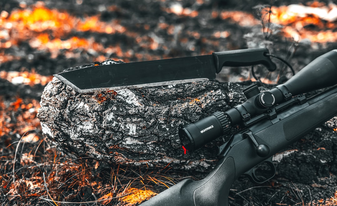 black rifle on brown dried leaves