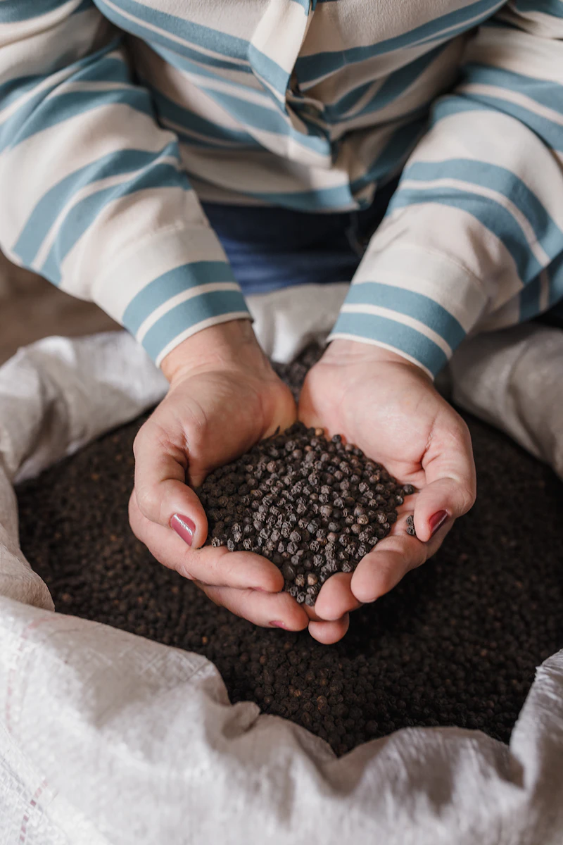 A pair of hands holding dark organic fertilizer granules above an open sack