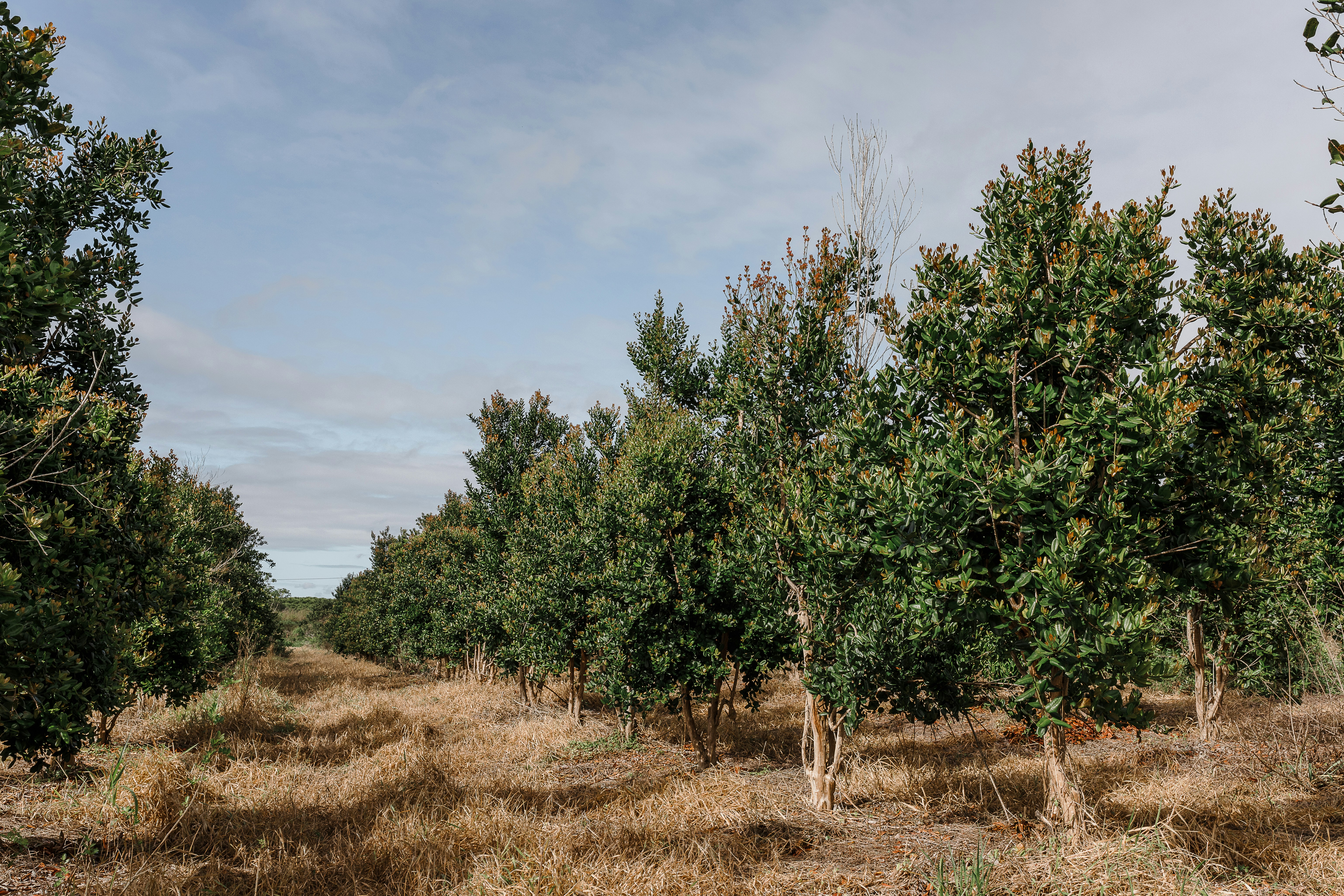 Photo by vitormonthay