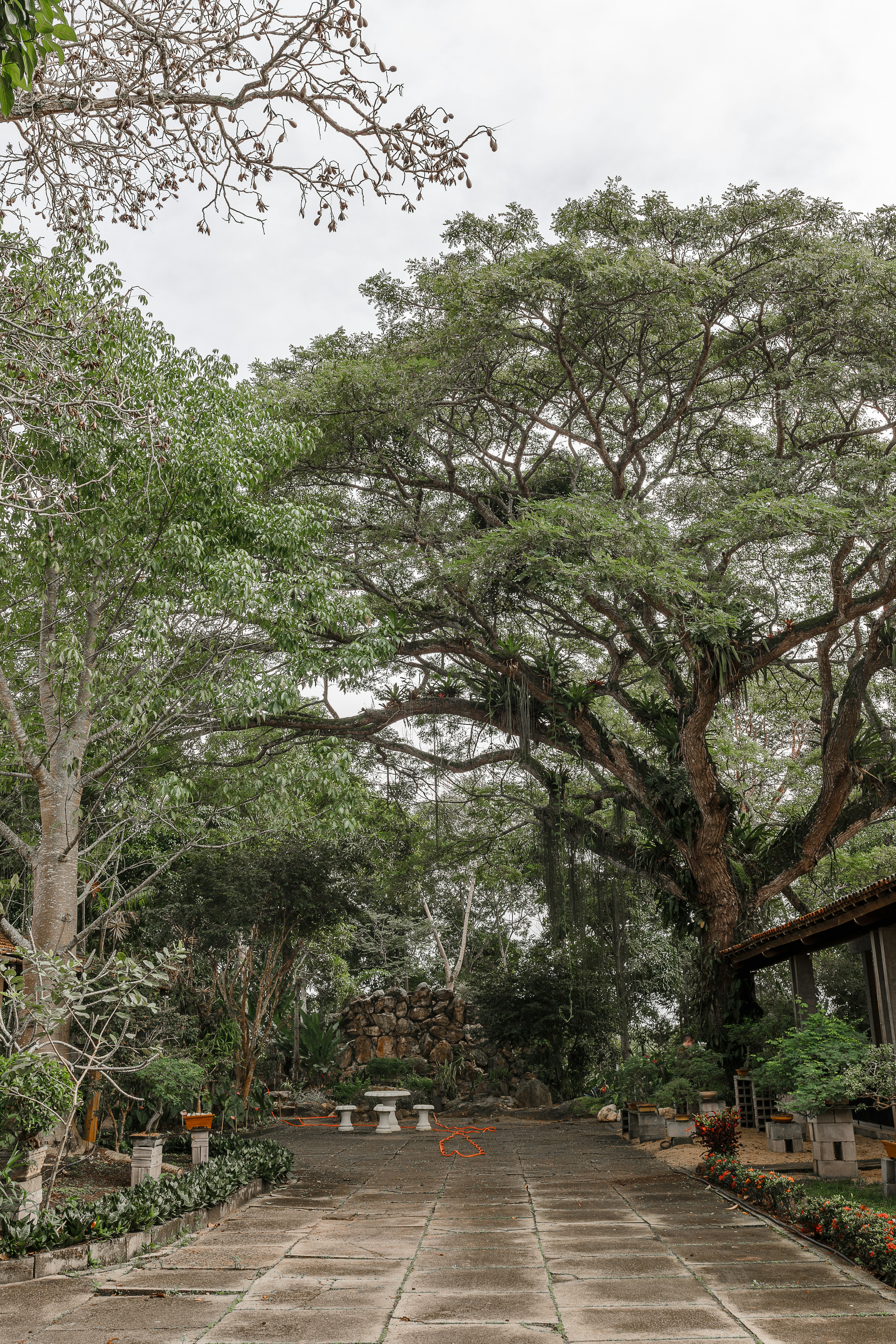 Photo by vitormonthay