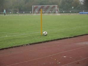 A soccer field with a corner flag and a ball positioned next to it. A goalpost is visible in the background, and a player in light-colored attire stands on the field. The grass is lush and green, and the setting seems to be overcast.