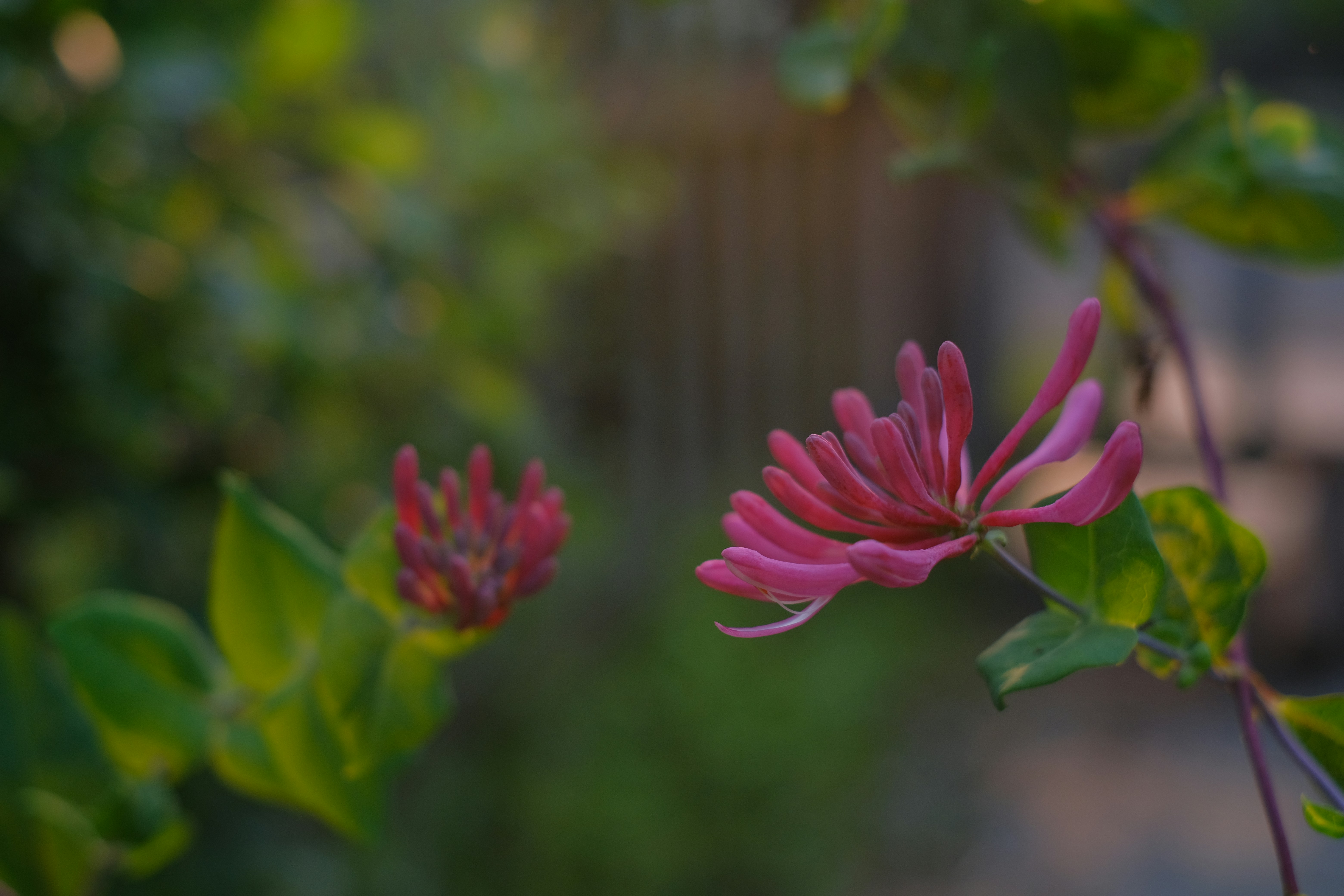 Photo by moriahaslan