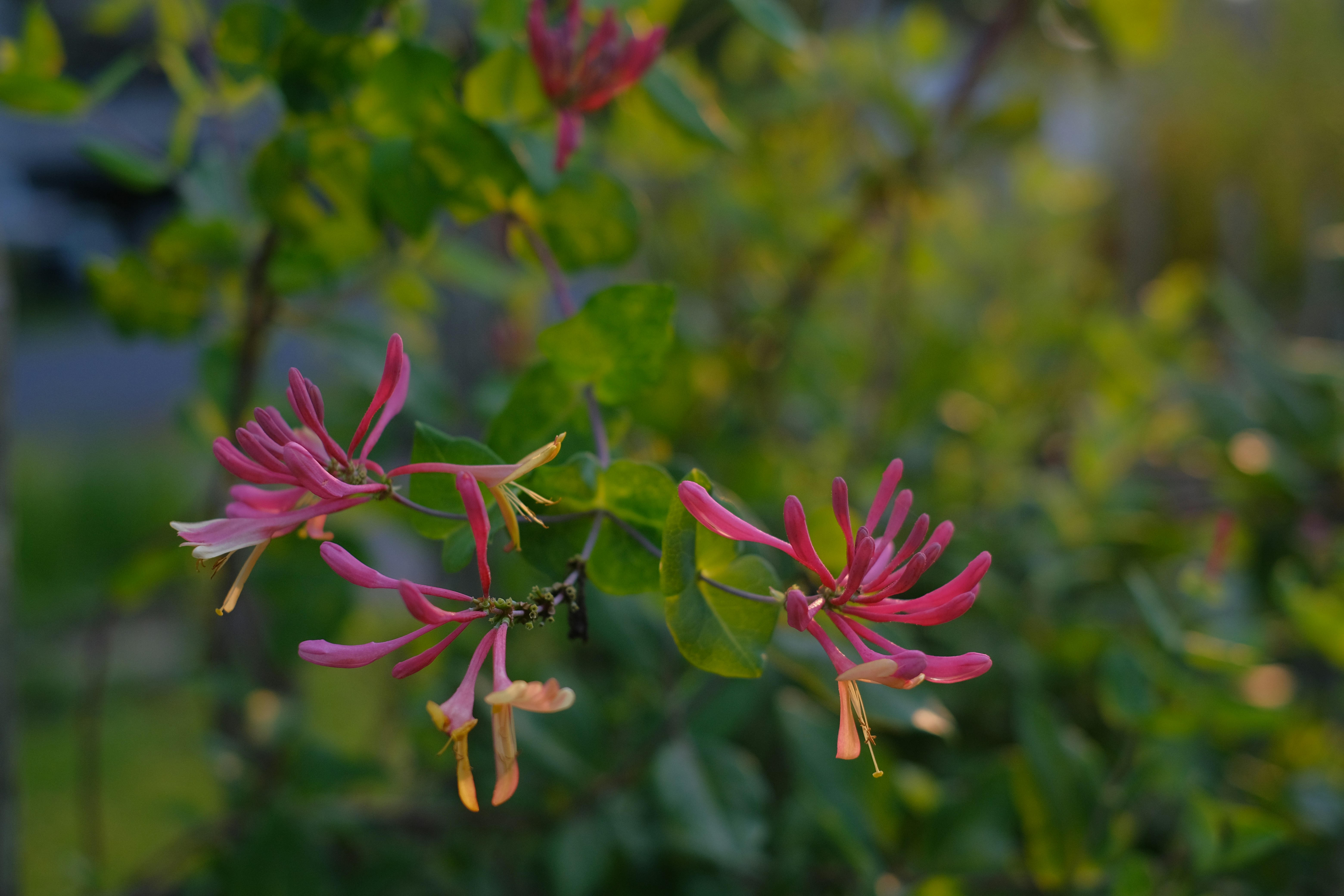 Photo by moriahaslan