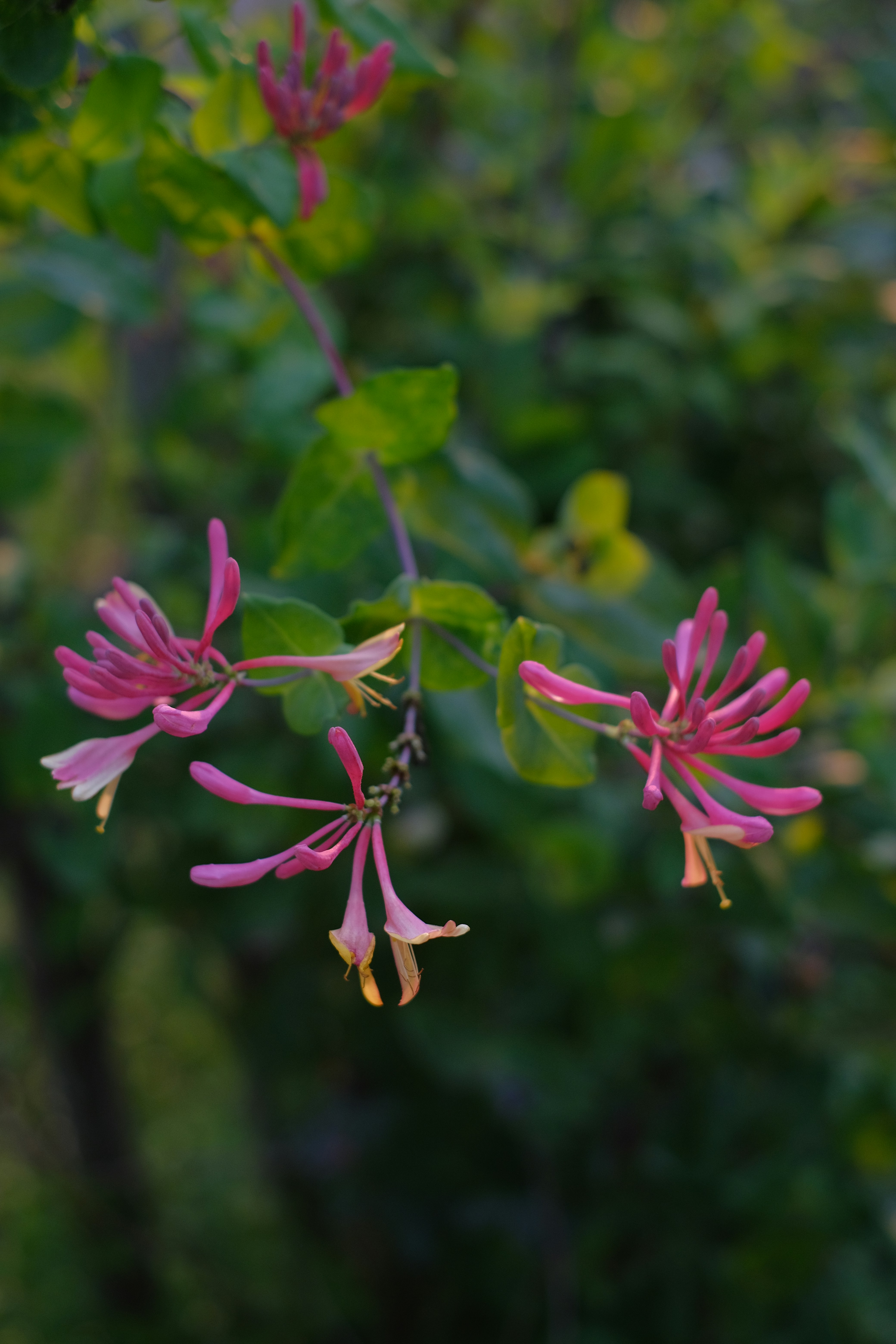 Photo by moriahaslan