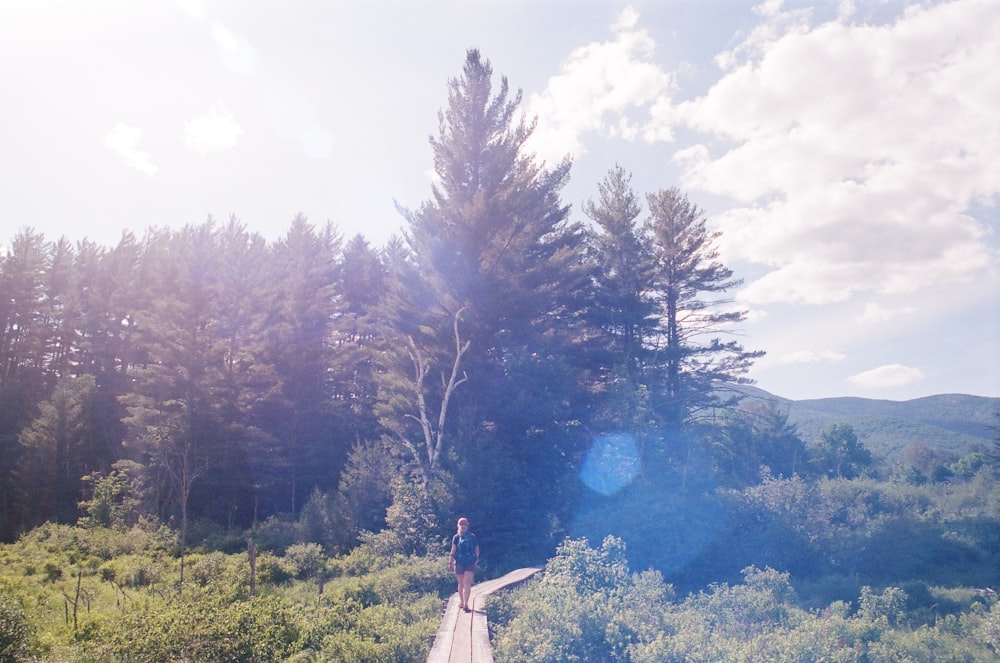 woman in white shirt and blue denim jeans standing on brown wooden dock near green trees