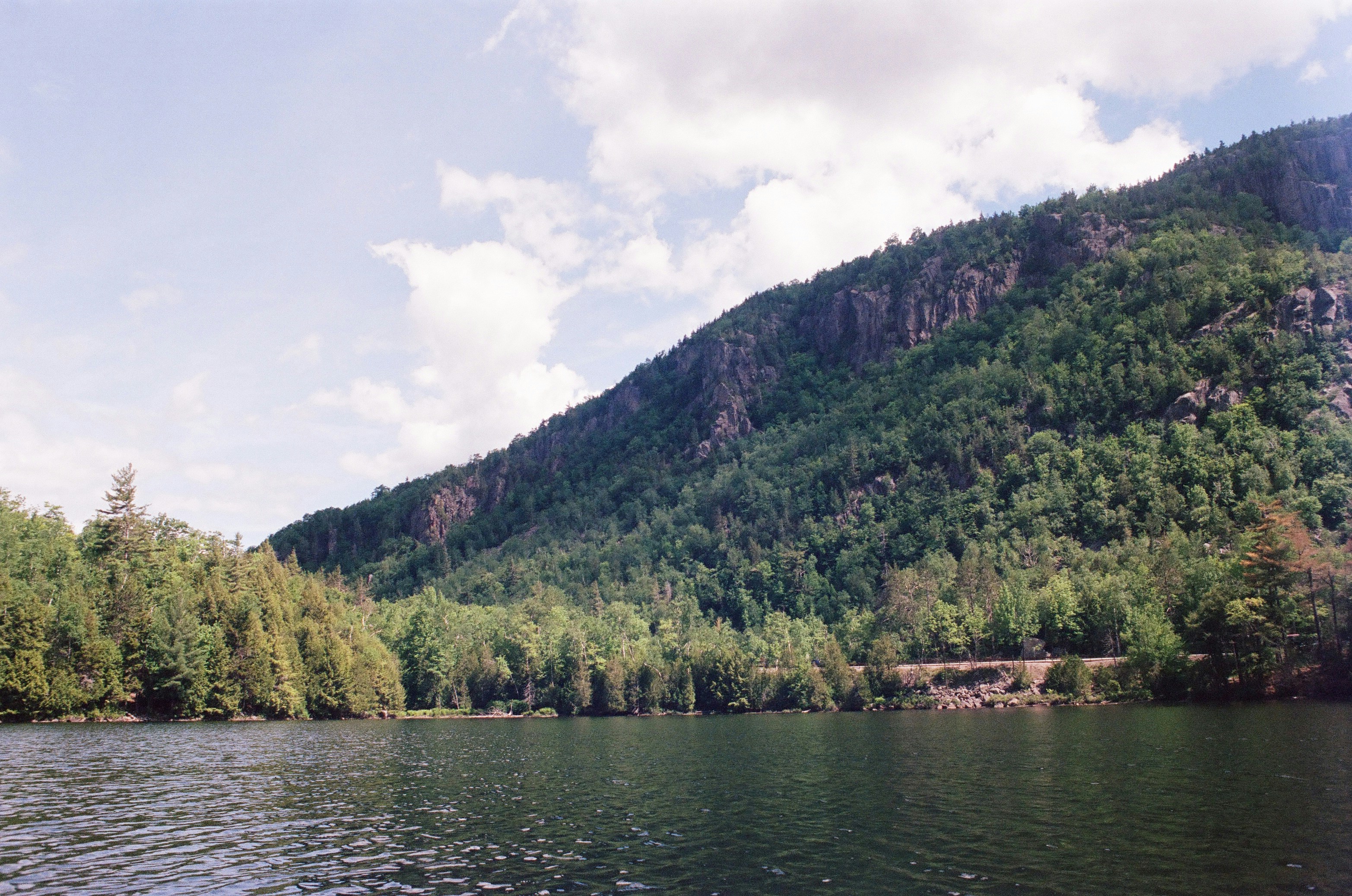 green trees near body of water during daytime, 