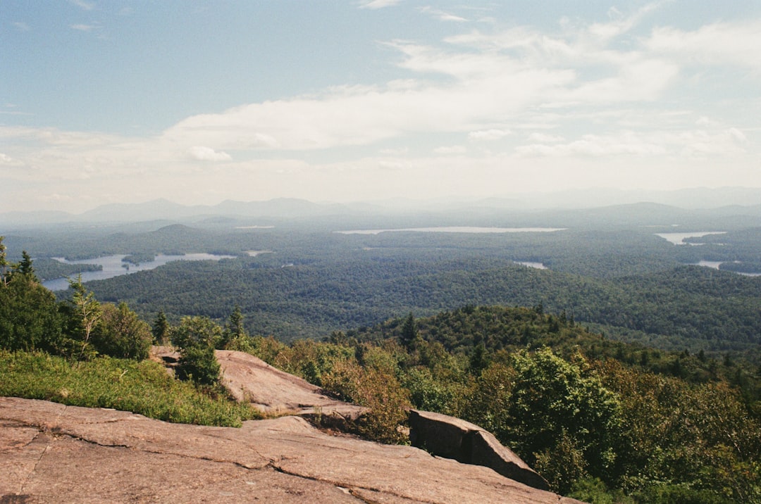 green trees on brown mountain during daytime