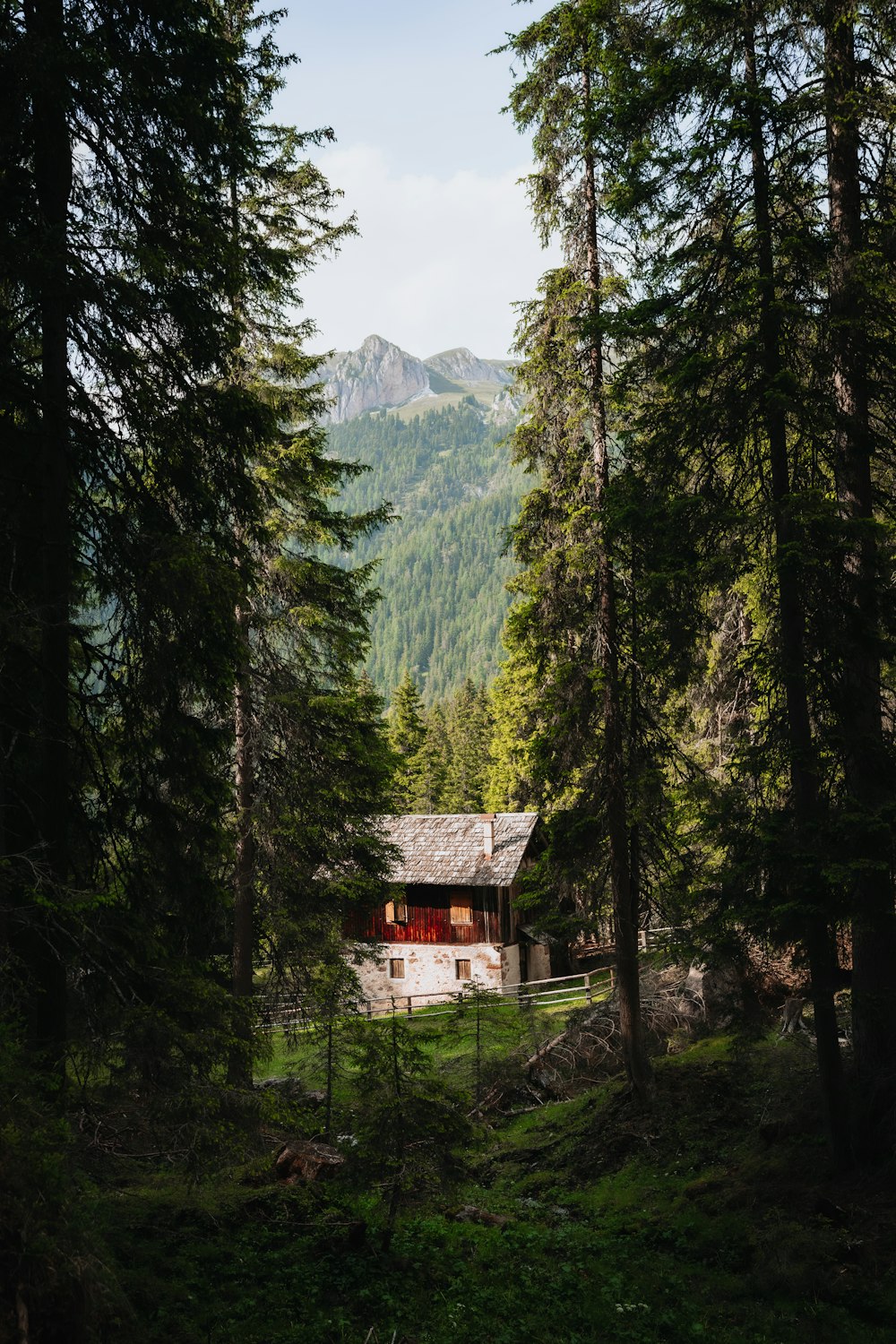 red and white house surrounded by green trees during daytime