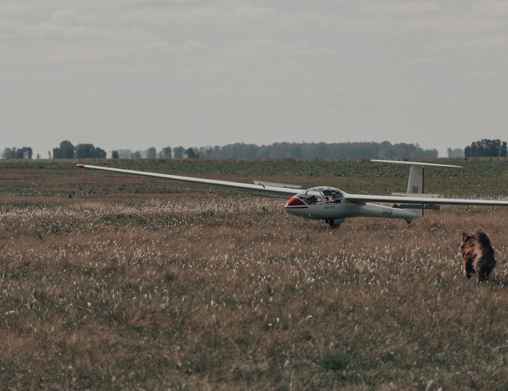 white and red airplane on brown field during daytime