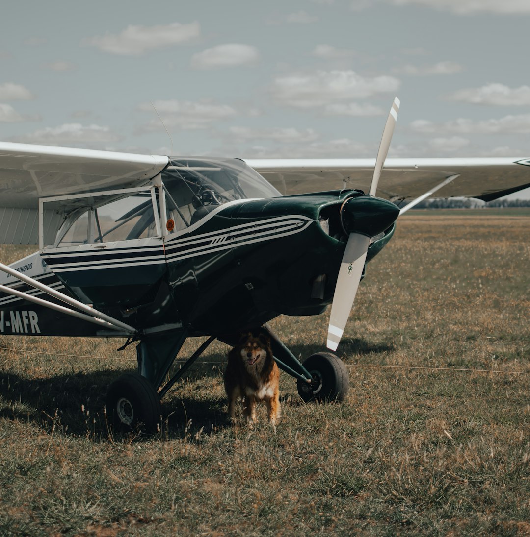 black and white plane on green grass field during daytime