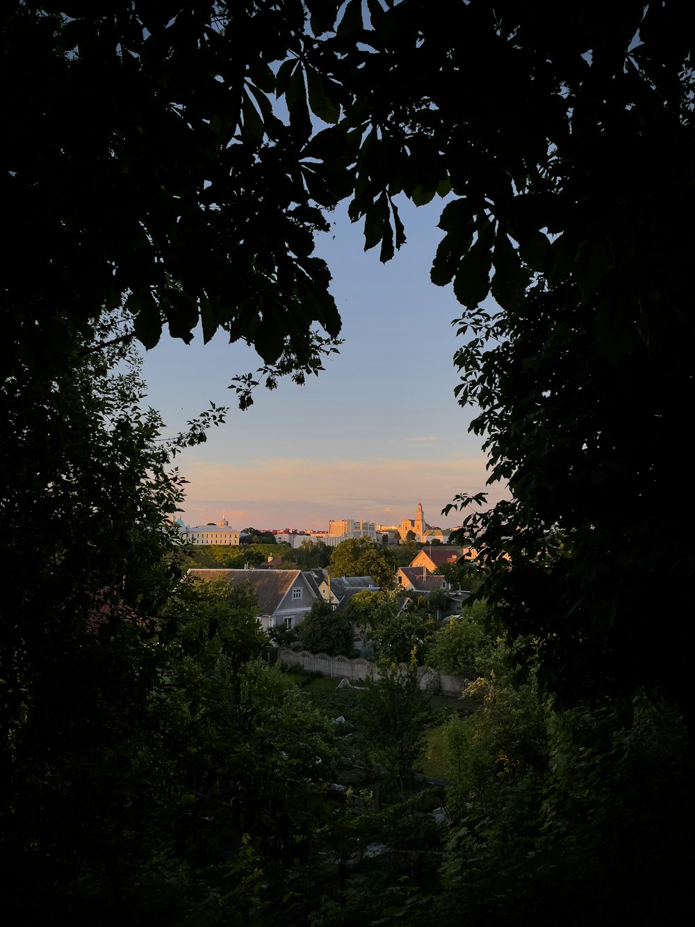 green trees near body of water during sunset