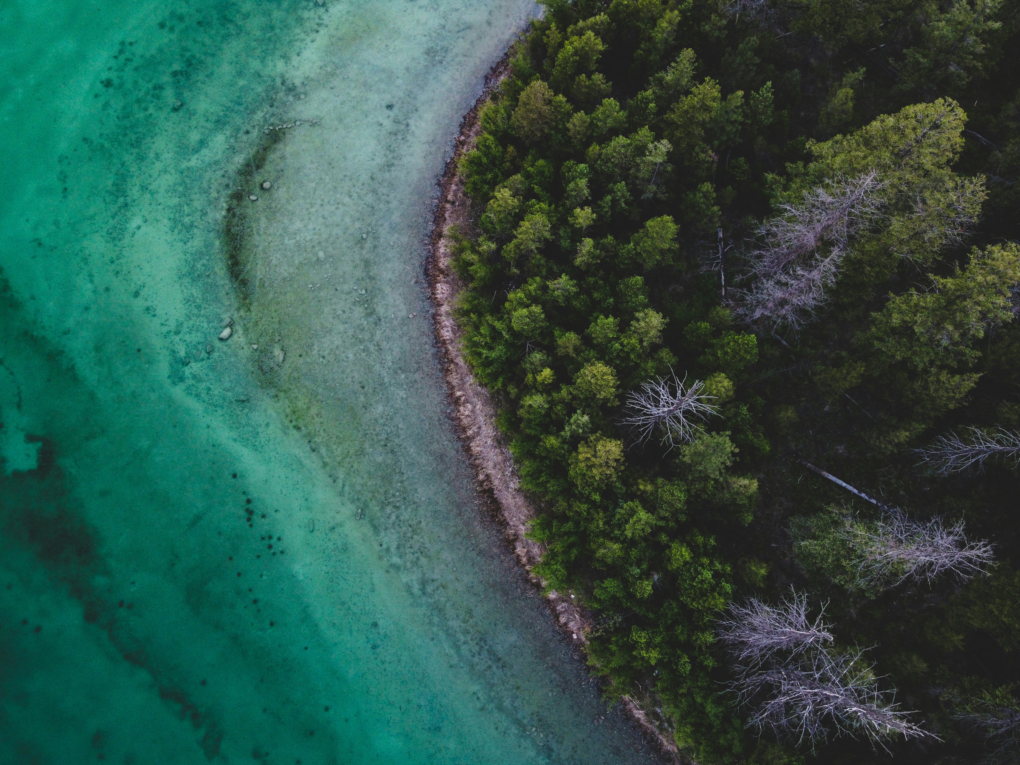 Lone Tree Island Photos Télécharger des images gratuites sur Unsplash