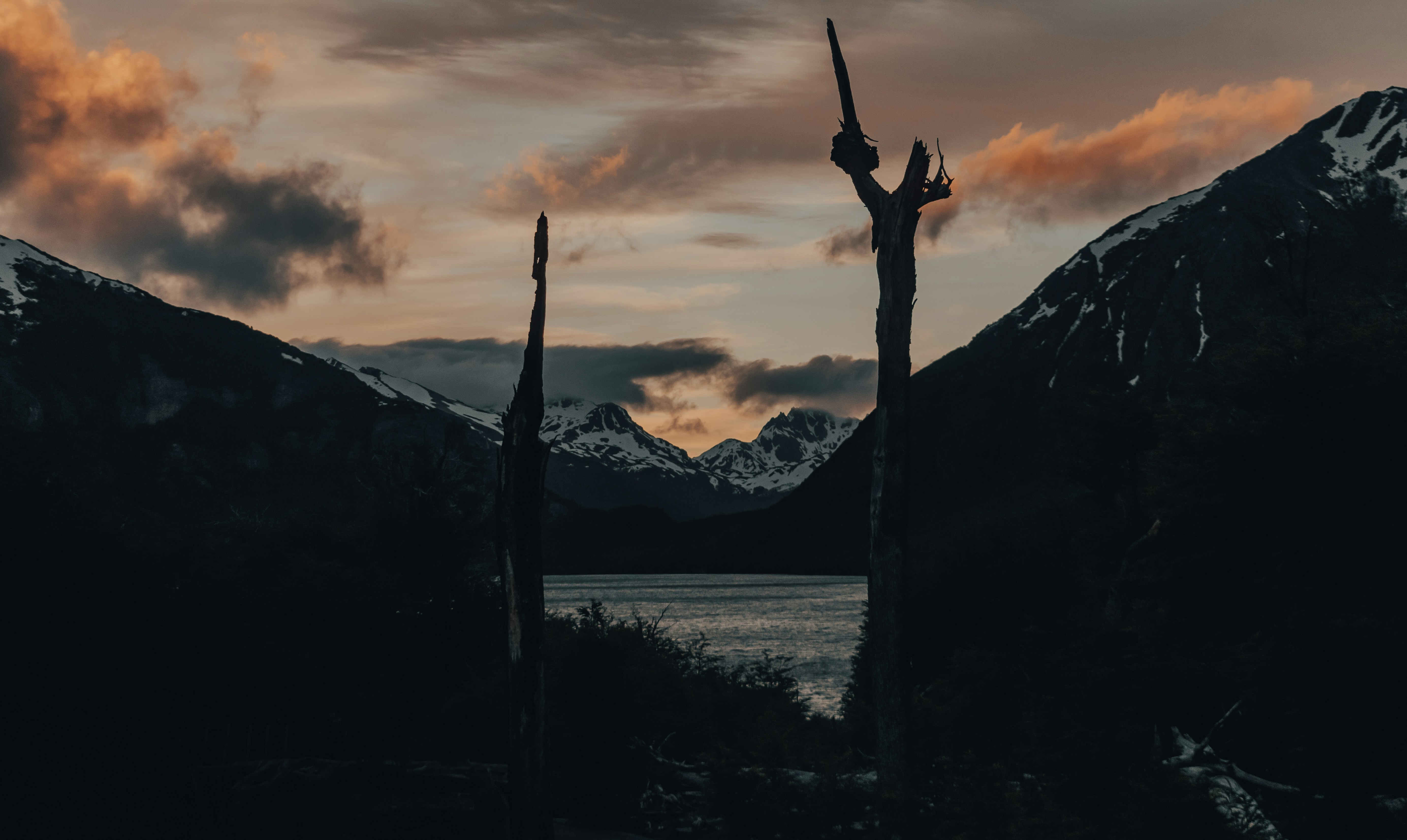 Warrior on tree branch