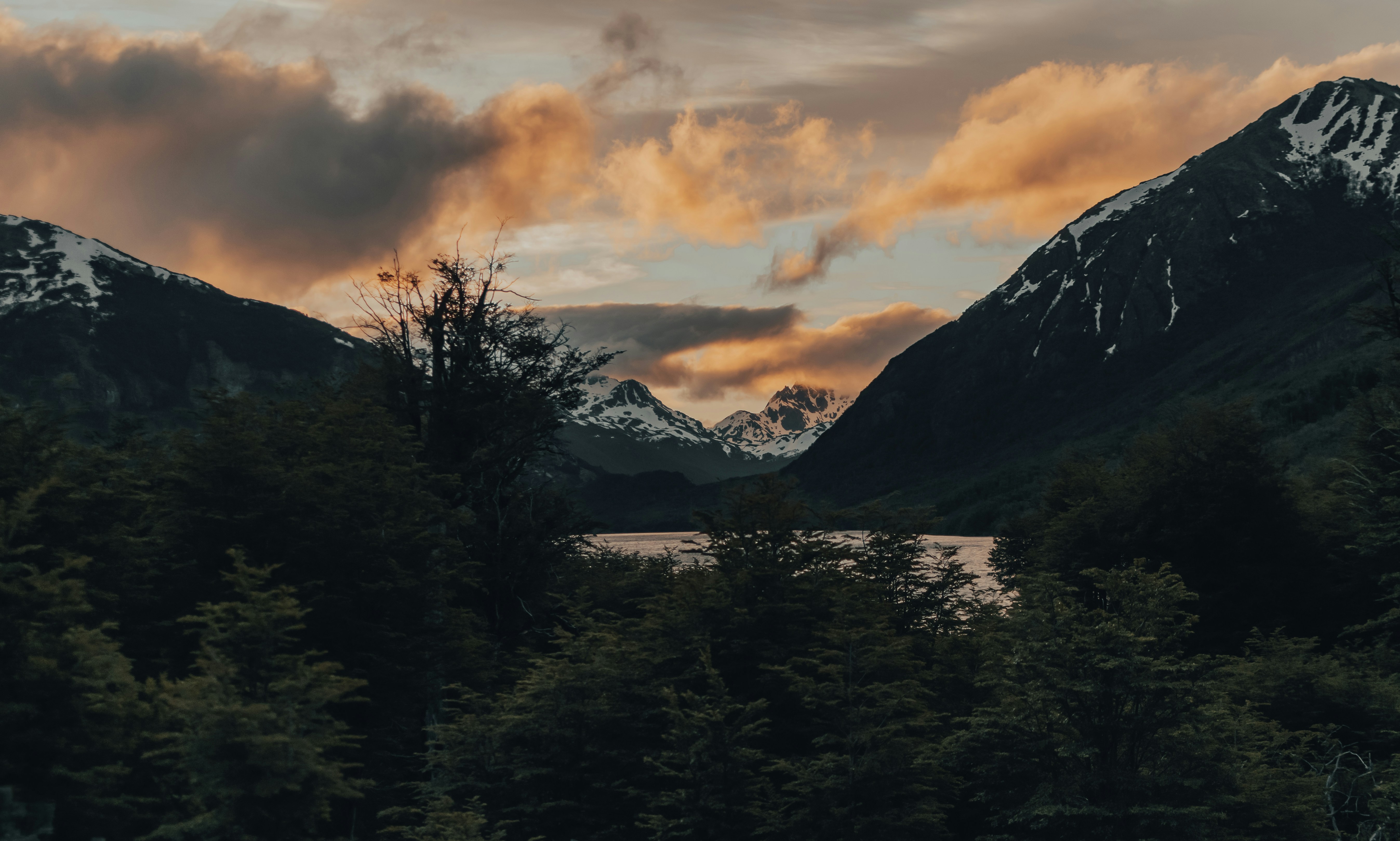 Photo by gasparzaldo